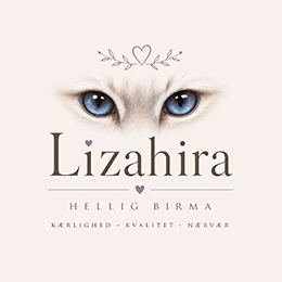 Lizahira Hellig Birma